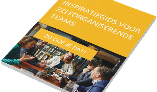 Inspiratiegids voor zelforganiserende teams